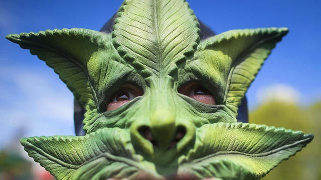 4 Meaning What Is The Annual Cannabis Celebration And How Did It Begin The Independent 4 Meaning What Is The Annual Cannabis Celebration And How Did It Begin The Independent