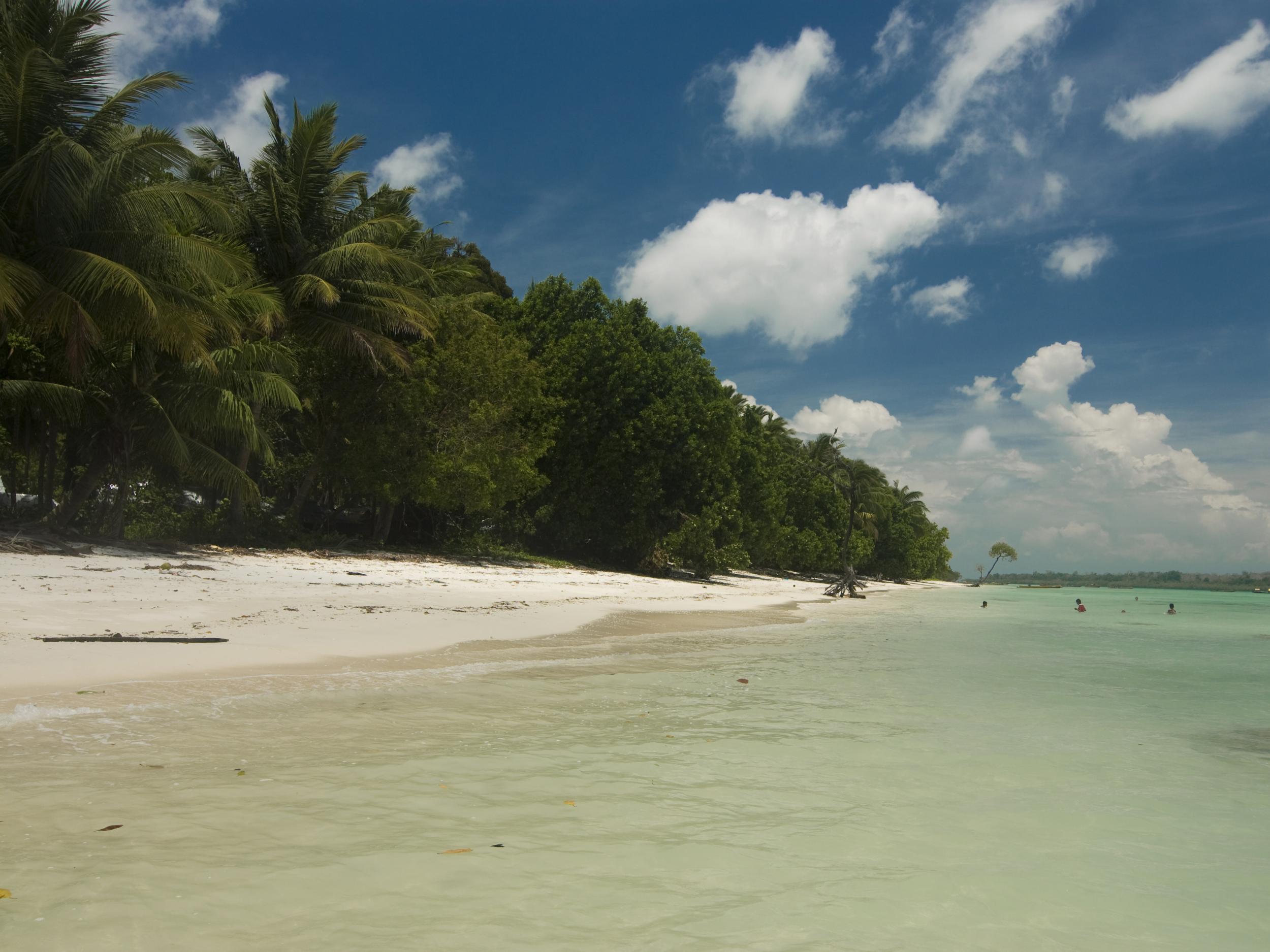 An untouched beach on Havelock Island, Andaman Islands