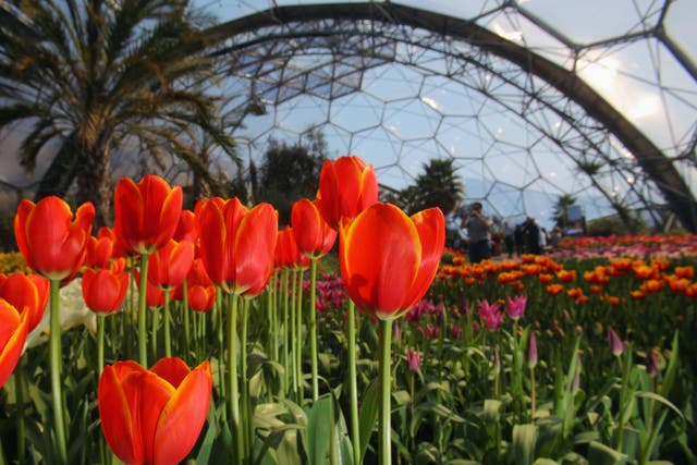 Spring is in full bloom at the Eden Project in Cornwall, which got a gong for its work for customers with disabilities