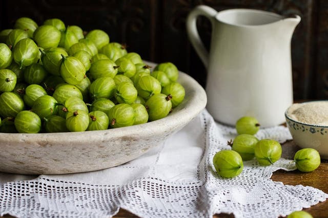 Gooseberries are famous for being incorporated into a number of classic British desserts –