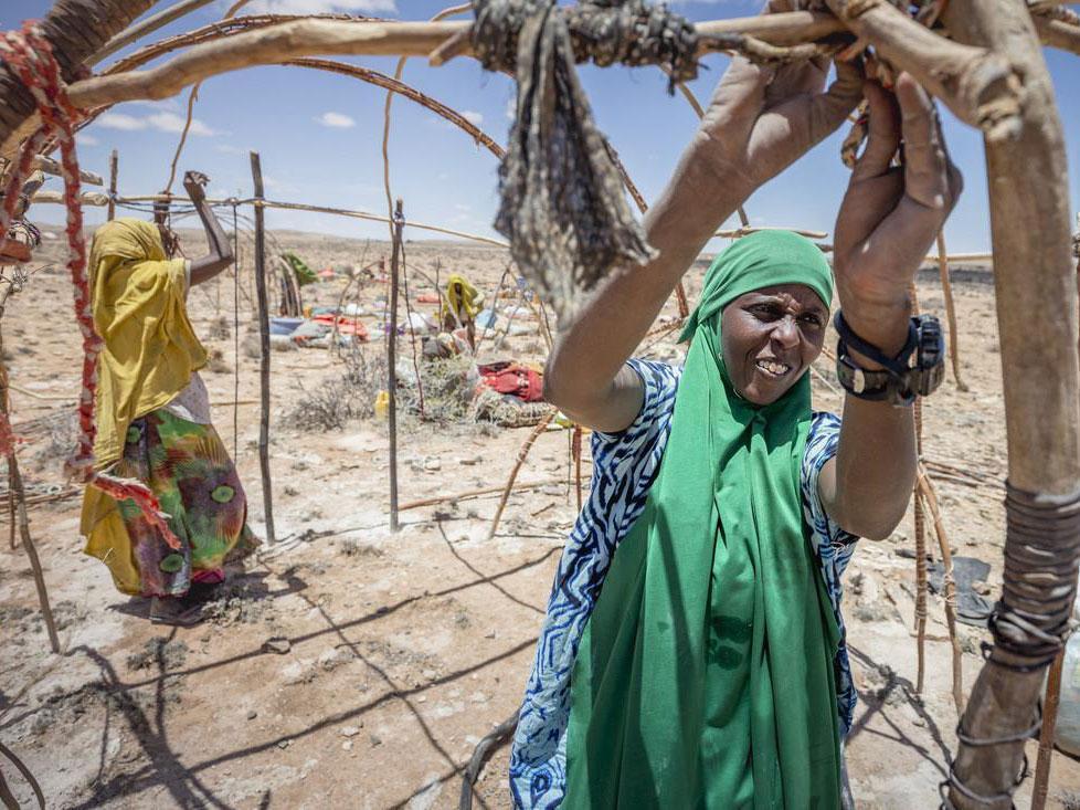 Farhia, a 25-year-old pastoralist in northern Somalia sets up home after moving for the fourth time in search of rain