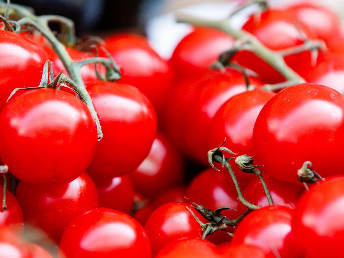Tinned tomatoes on British supermarket shelves may contain tomatoes picked migrant workers facing labour abuses