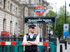 Man 'carrying bag of knives' in Whitehall denies planning attack