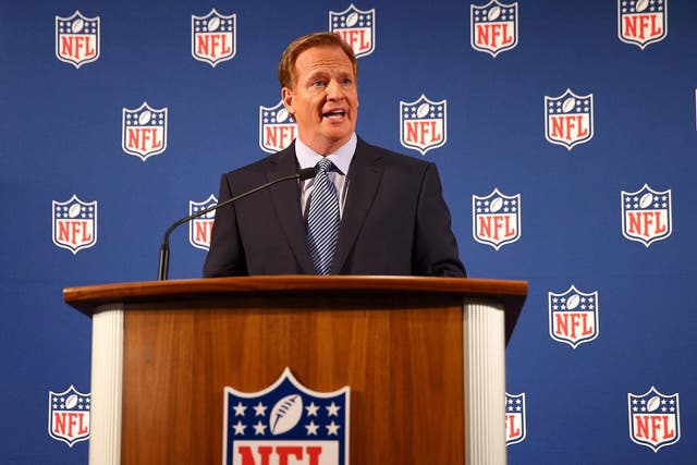 NFL commissioner Roger Goodell was criticised for appearing to wipe a bogey on a young fan's back