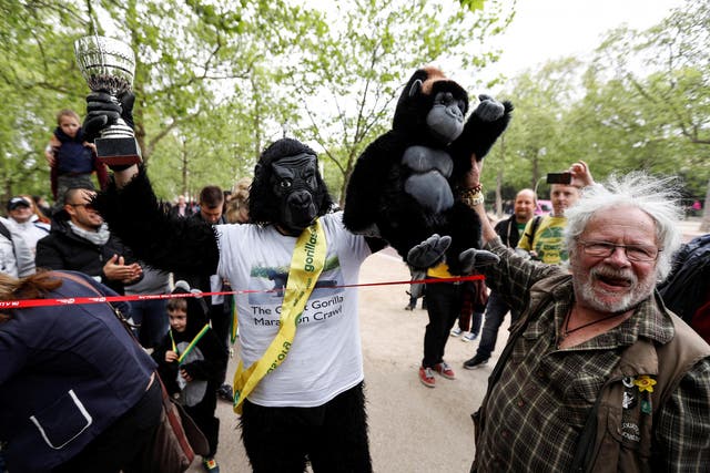 Charity event competitor Tom Harrison crosses the line at the London Marathon finish line on the Mall, dressed in a gorilla outfit to raise money for the Gorilla Foundation