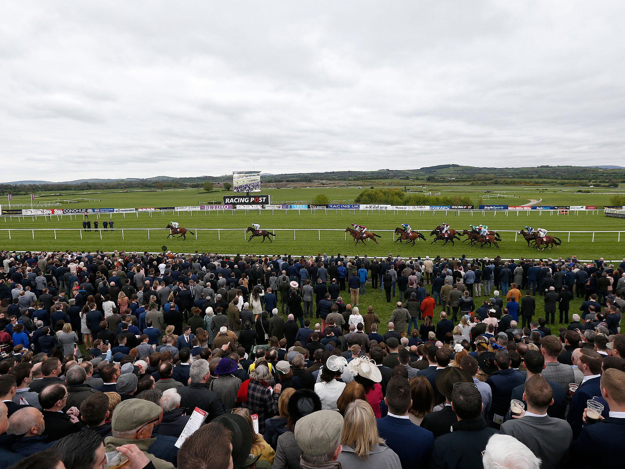 Punchestown, Ireland