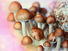 A top psychiatrist says magic mushrooms could cure depression