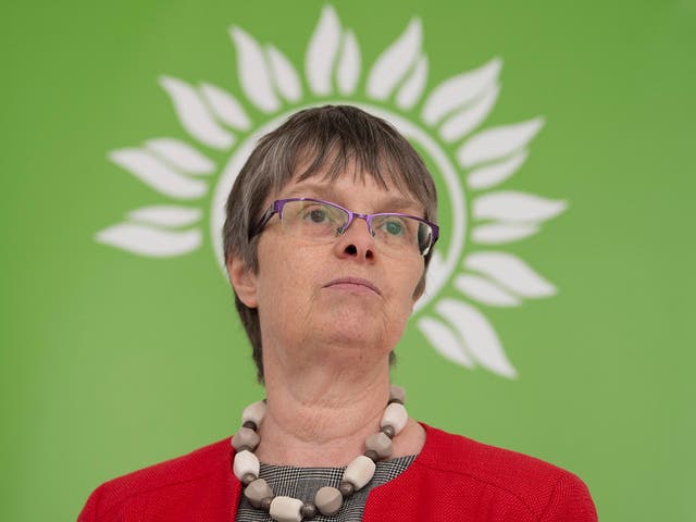 Green MEP Molly Scott Cato during the launch of the Green Party Brexit policy at the Space Studio in London