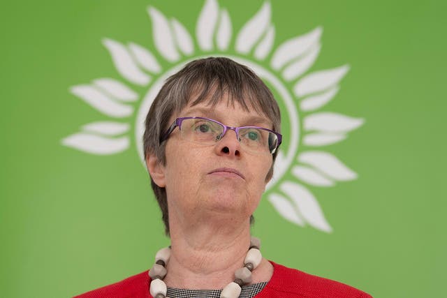 Green MEP Molly Scott Cato during the launch of the Green Party Brexit policy at the Space Studio in London