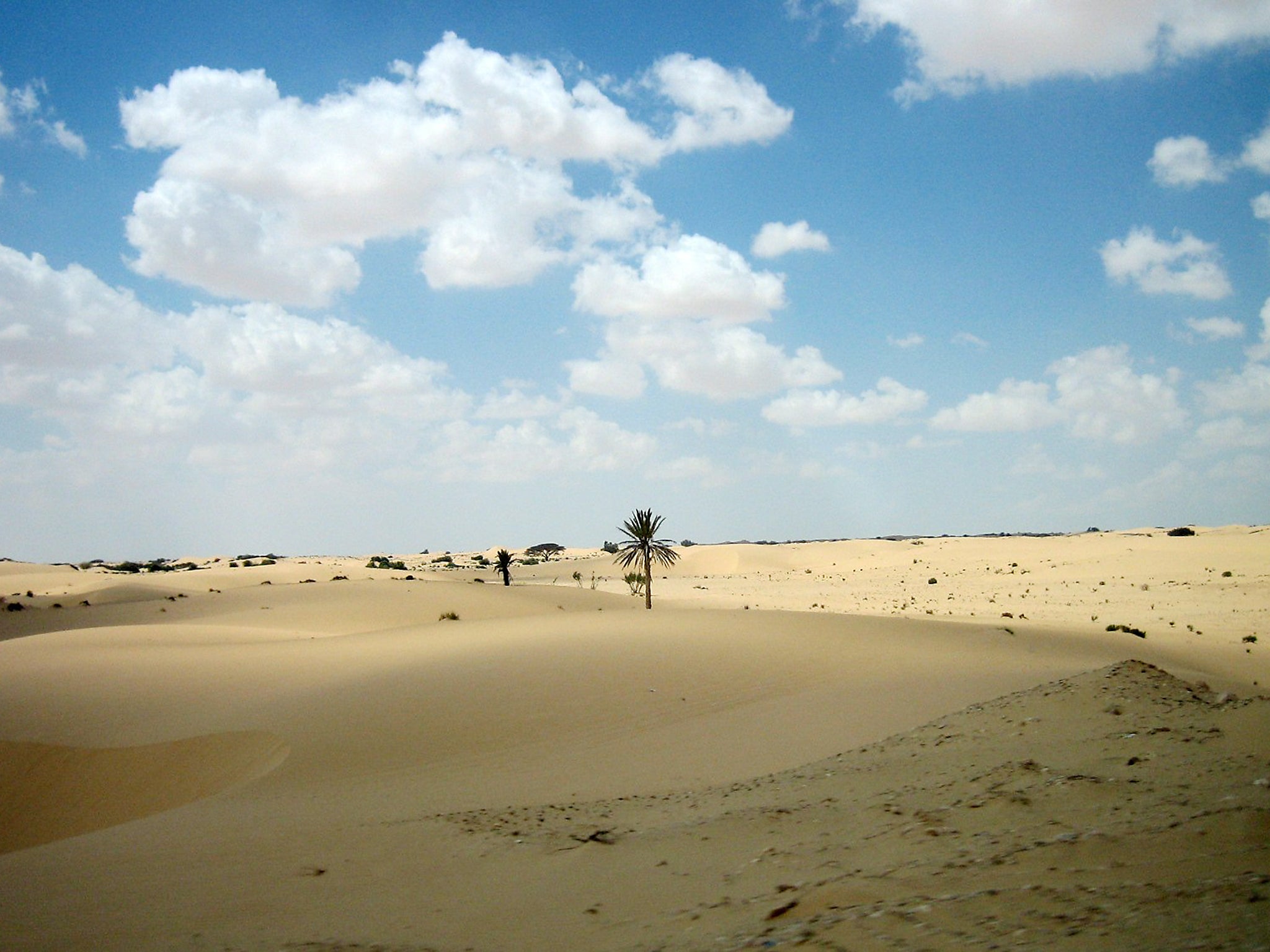 Sinai Scenery