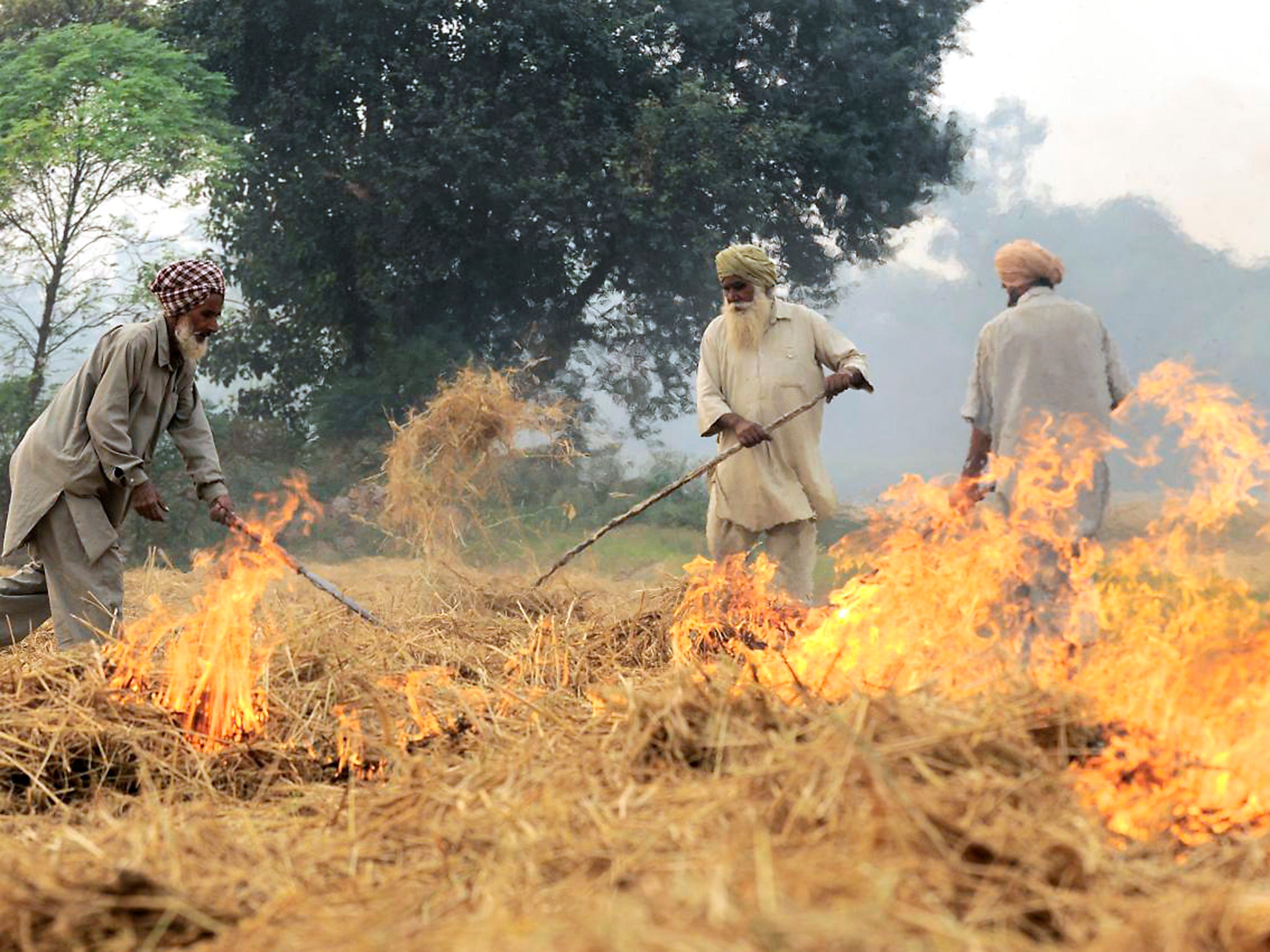 Indian farmers burn millions of tonnes of the waste product every year