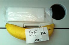 British man given a banana as "gluten-free meal" on nine-hour flight