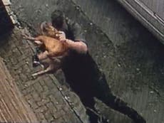 Man filmed beating up dog behind van