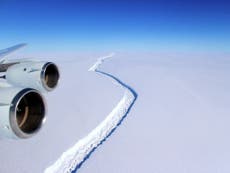 Miles of Antarctic ice are collapsing into the sea 