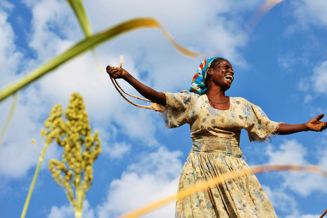 A woman watches over her crops in Ethiopia