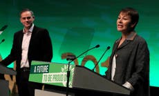 Greens makes council breakthroughs in general election target areas