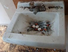 City's drug problem sees birds 'making nests of needles', police claim