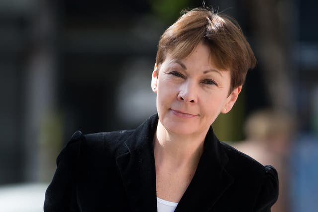 Caroline Lucas said the local election results were a 'wake-up call' for the progressive left