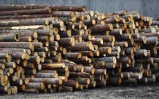 US Commerce Secretary Wilbur Ross says Canadian threats after lumber tariff announcement 'are inappropriate'