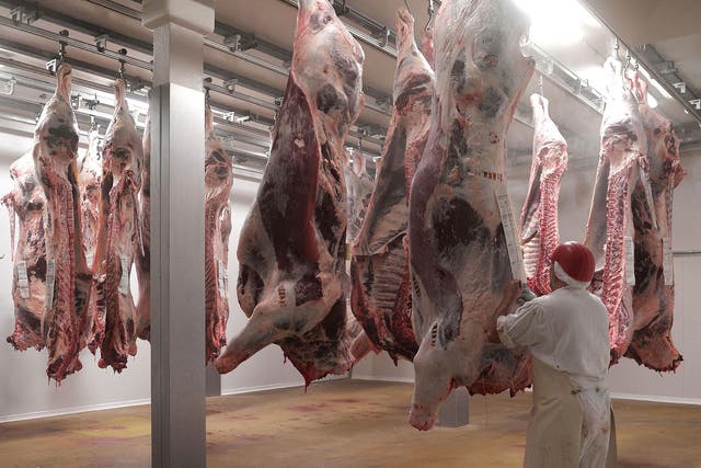 Both Jewish kosher and Islamic halal rituals require the butcher to swiftly slaughter the animal by slitting its throat and draining its blood
