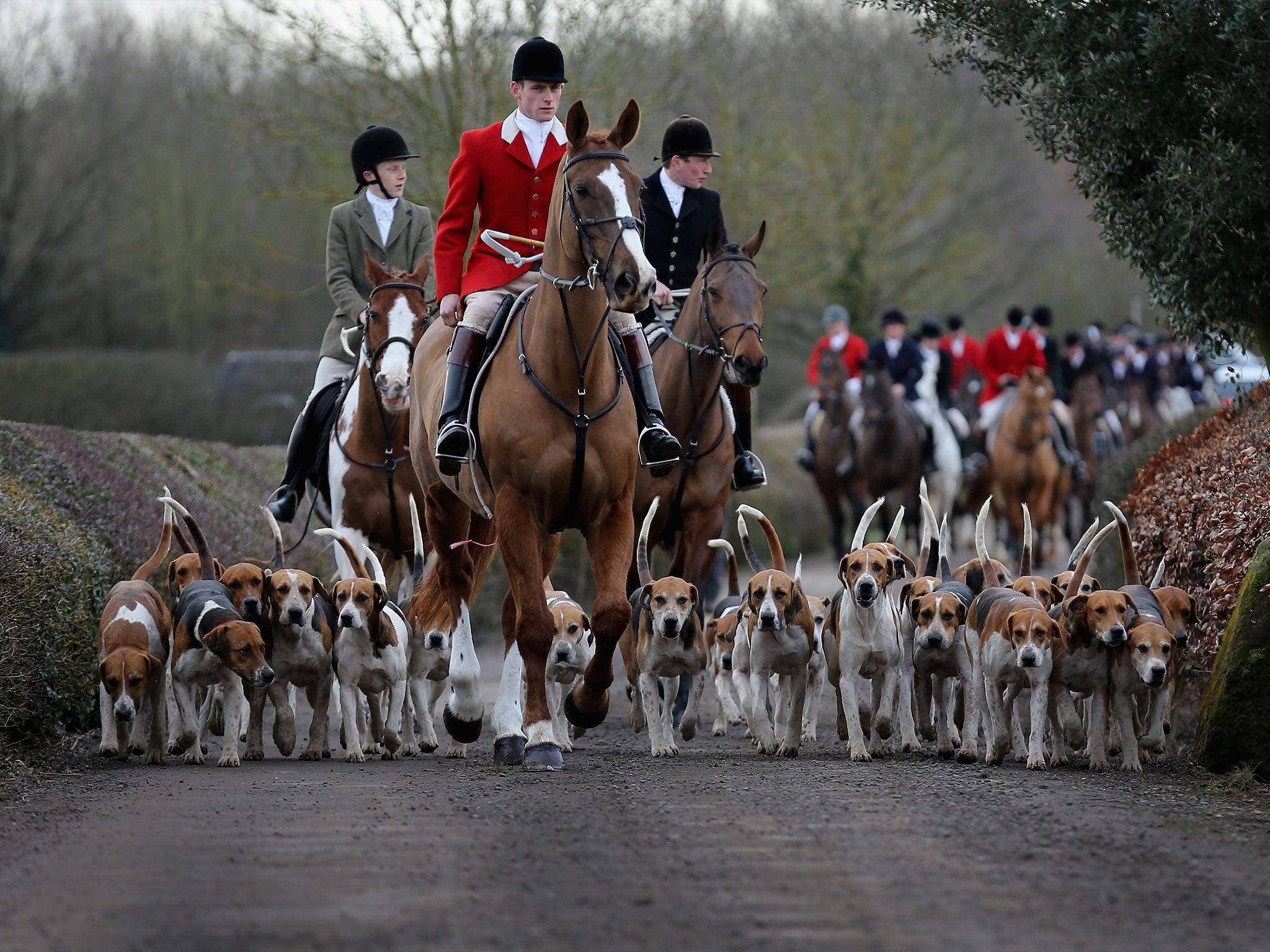 Anti-hunt campaigners claim illegal hunting of foxes has continued, including at large organised Boxing Day hunts