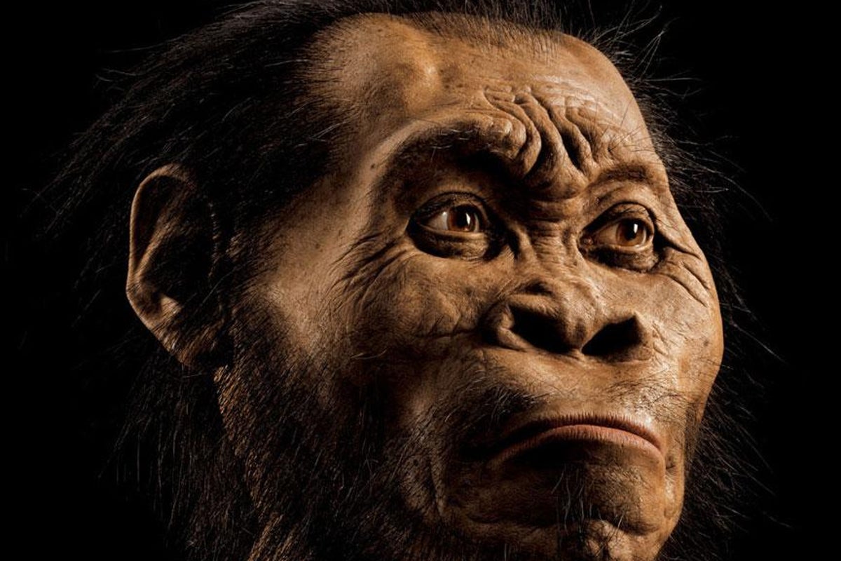 Primitive humans with a third of our brains were not wiped out but ...