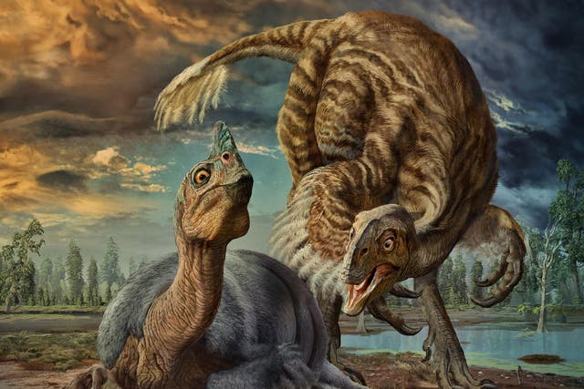 A gigantic cassowary-like dinosaur named Beibeilong sits on a nest of eggs in this artist's impression