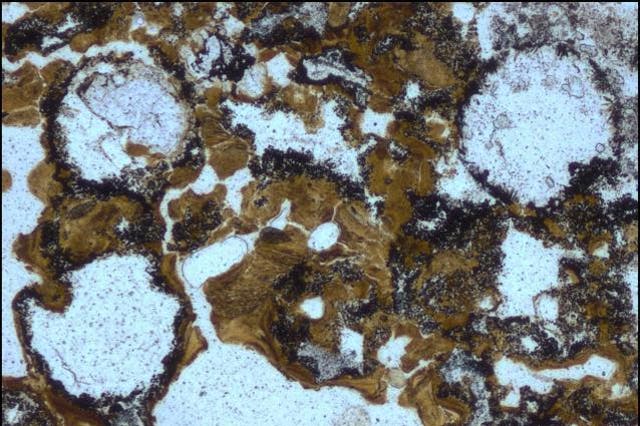 Spherical bubbles preserved in 3.48-billion-year-old rocks in the Dresser Formation in the Pilbara in Western Australia