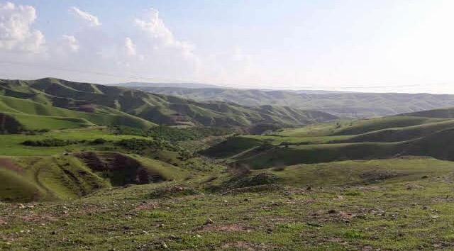 Lush hills on the drive from Erbil