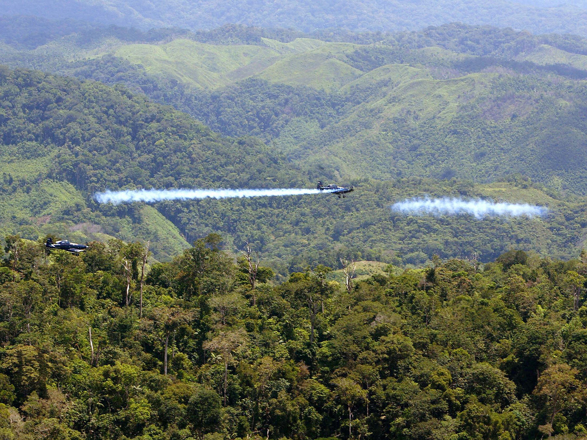 The government stopped aerial spraying of coca amid fears of elevated cancer risk from the herbicide glyphosate (Getty)