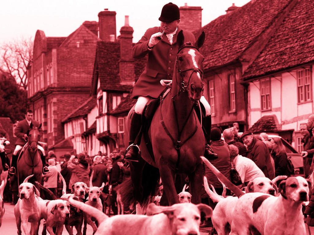 A traditional fox-hunt gets underway