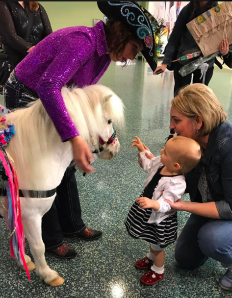 The horses go down well with passengers of all ages