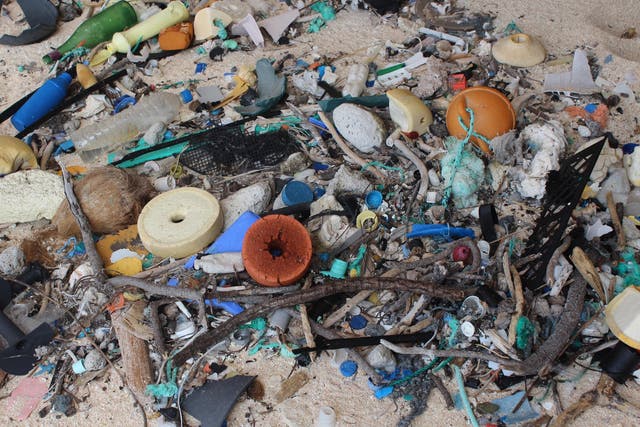 Plastic debris on East Beach, Henderson Island