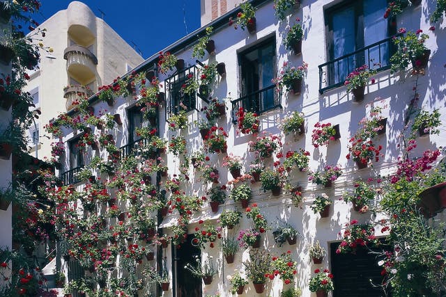 Cordoba in May is classic Andalusia