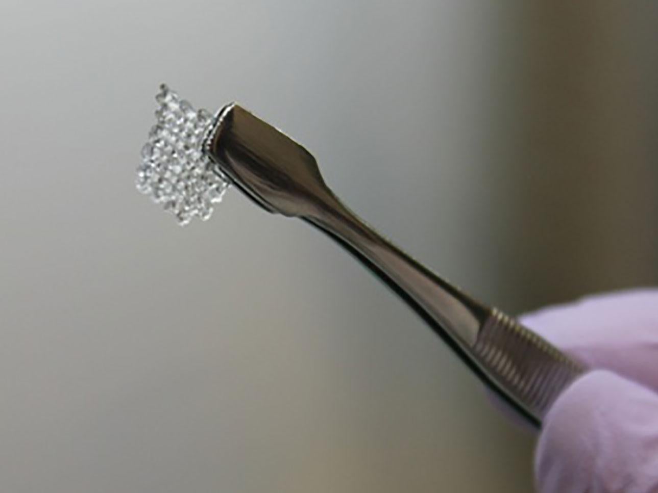 A scaffold for a bioprosthetic mouse ovary 3D-printed with gelatin
