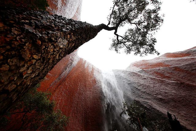 Rain is extremely rare at Uluru – but when it comes, it comes in torrents