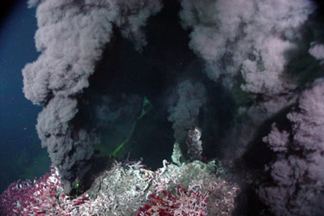 Hydrothermal vents in the Sully Main Endeavor Field