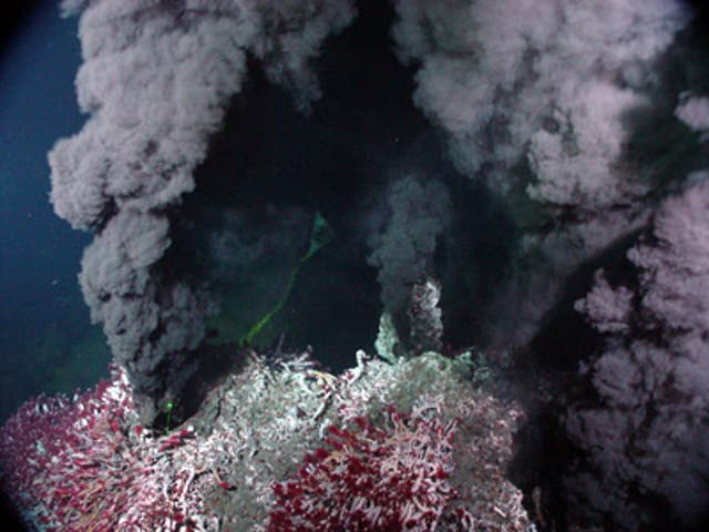 Hydrothermal vents in the Sully Main Endeavor Field