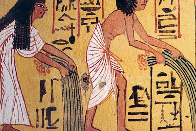 Ancient Egyptians grew crops including wheat, barley, and vegetables