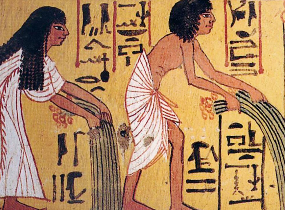 Ancient Egyptians grew crops including wheat, barley, and vegetables