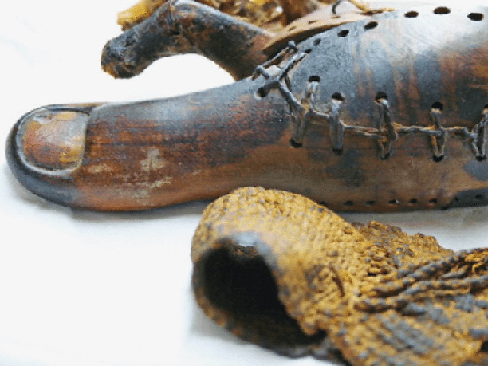 False toe on mummy found near Luxor