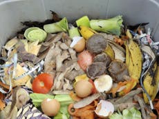 Americans throw away 150,000 tons of food every day