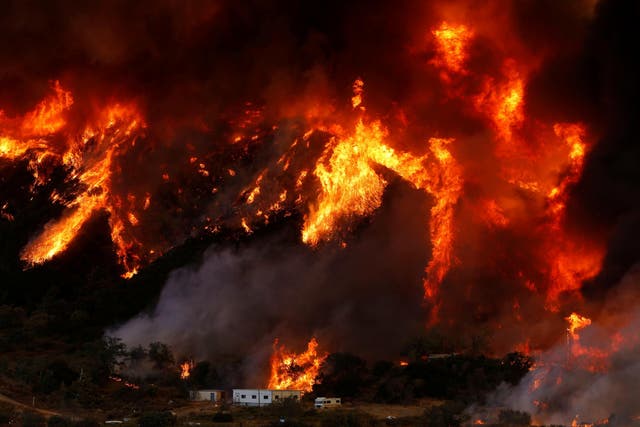 Some effects of climate change, like increased wildfires, are dramatic and obvious but others, like lower moisture levels, are more subtle