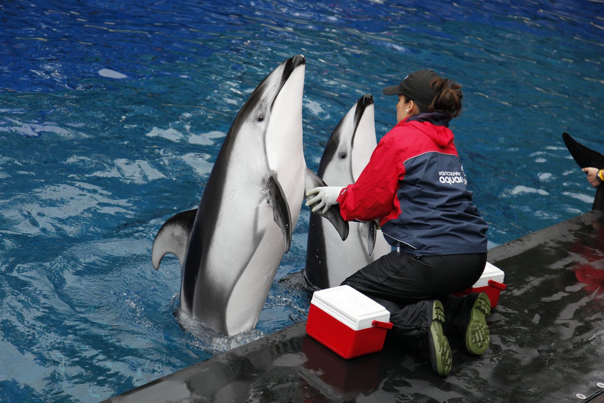 Vancouver Aquarium has argued against the decision