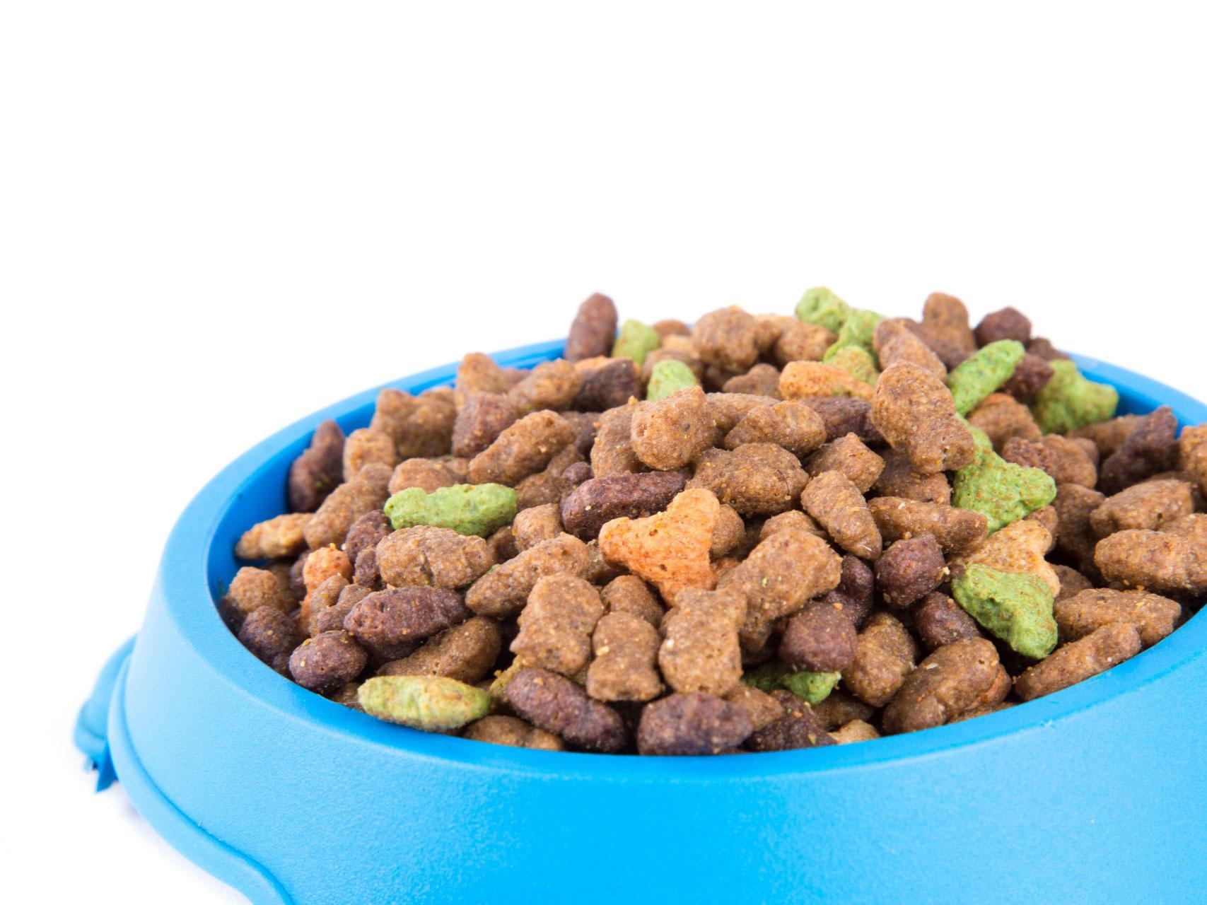 Former nurse 'forced to eat dog food' after her benefits ...