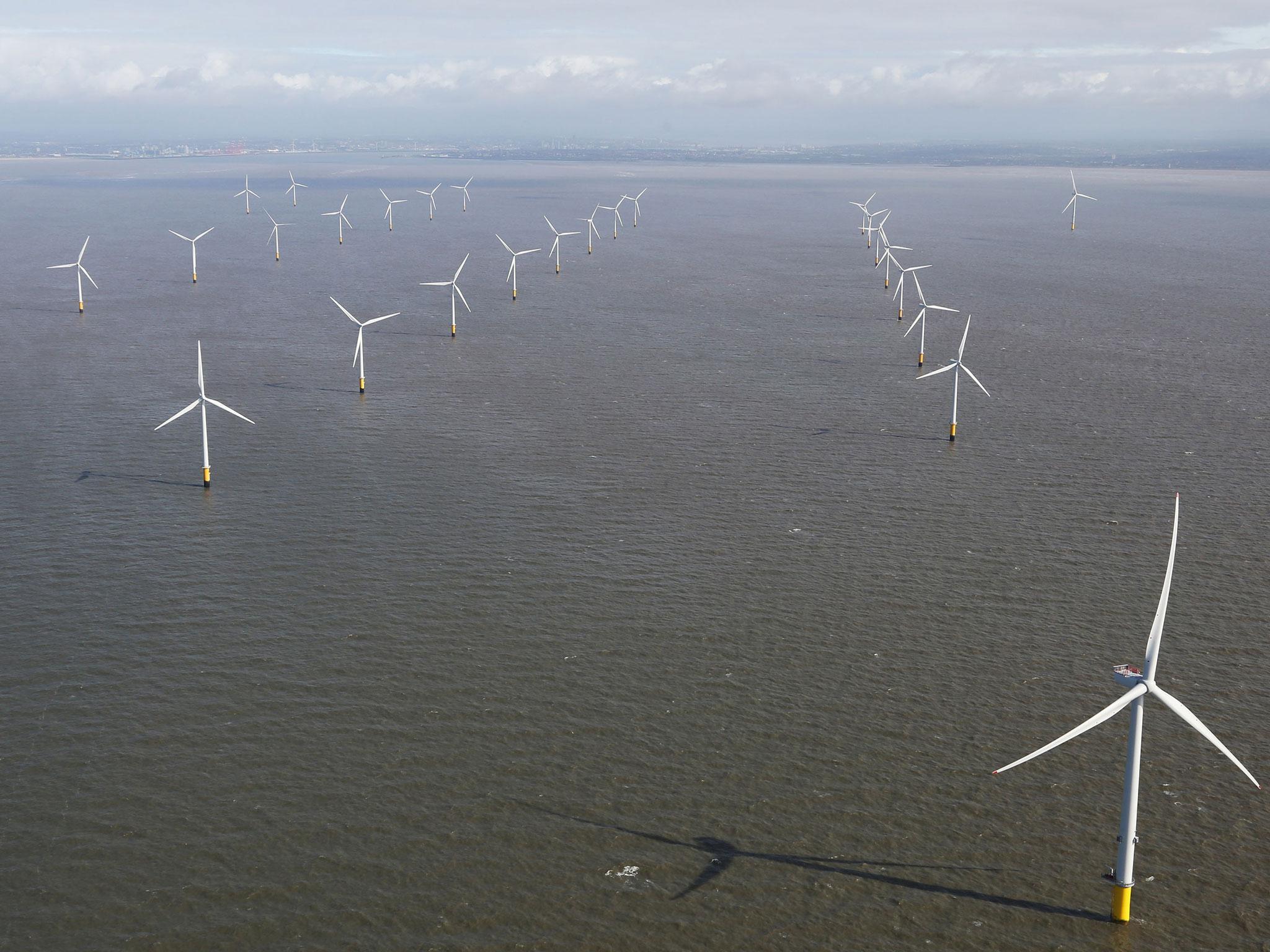Blown away: scientists say the wind farm would have to operate in 'remote and harsh' conditions