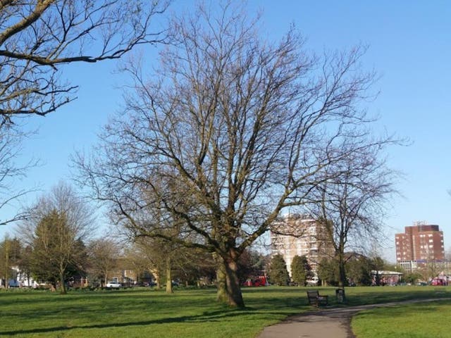 Roe Green Park