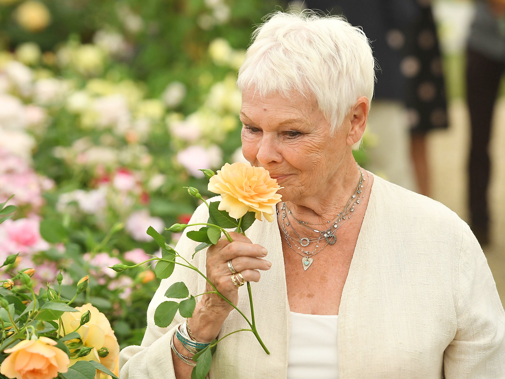 Dame Judi Dench