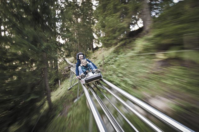 The Fforest ride is the UK's only alpine coaster