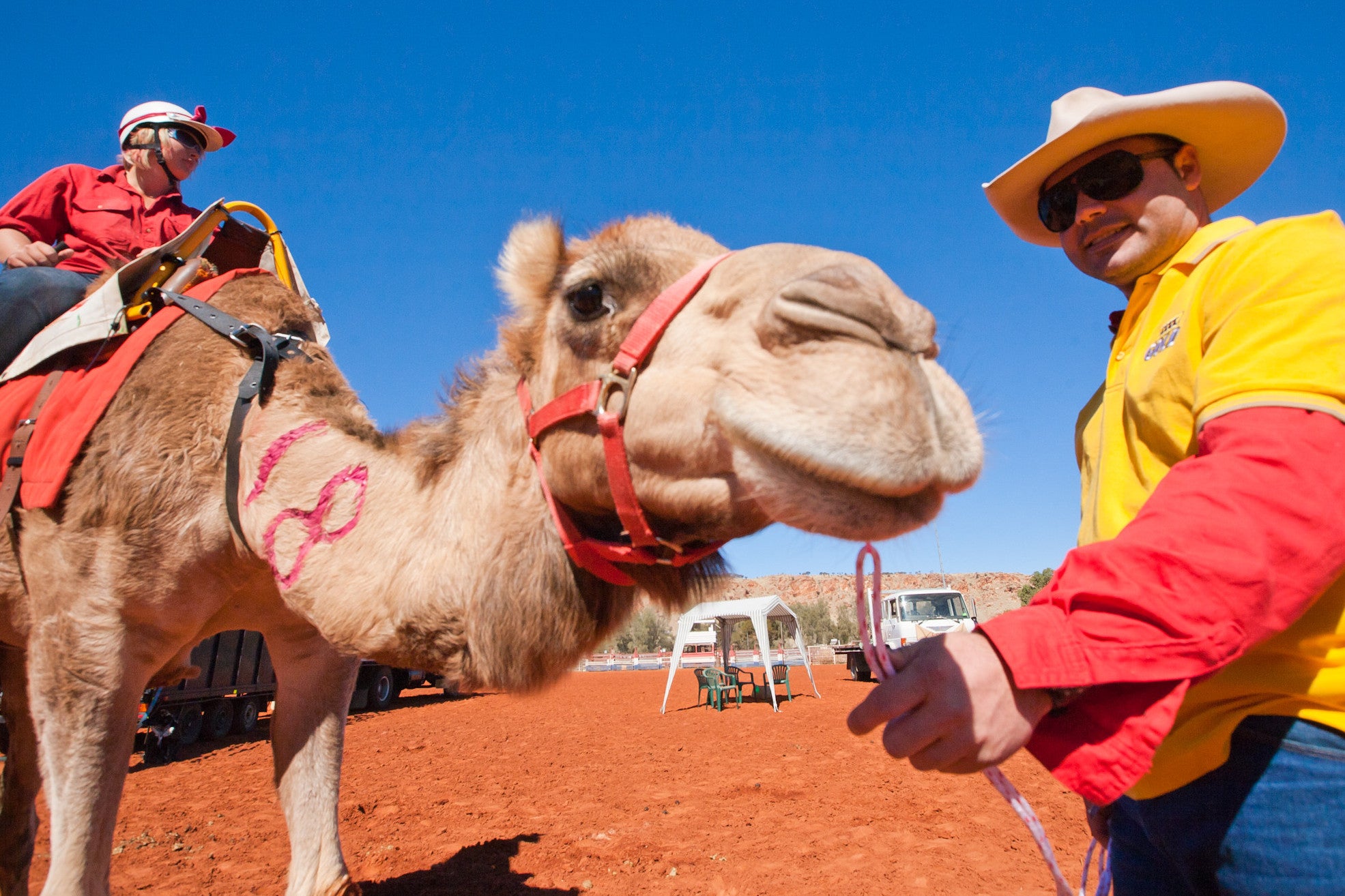 The annual Camel Cup is a big draw in Alice Springs (Peter Carrol/NT Tourism)